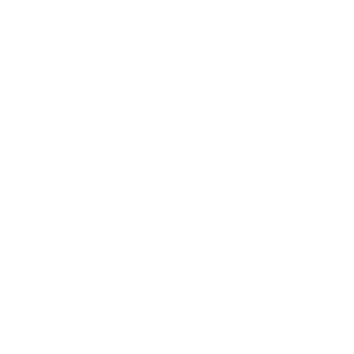 Vireli Logo
